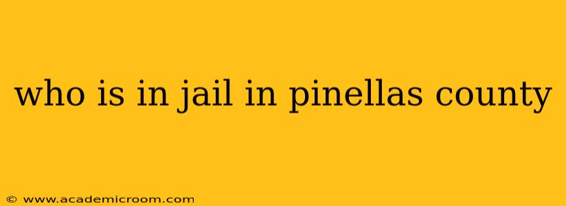 who is in jail in pinellas county