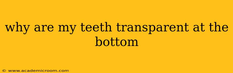 why are my teeth transparent at the bottom