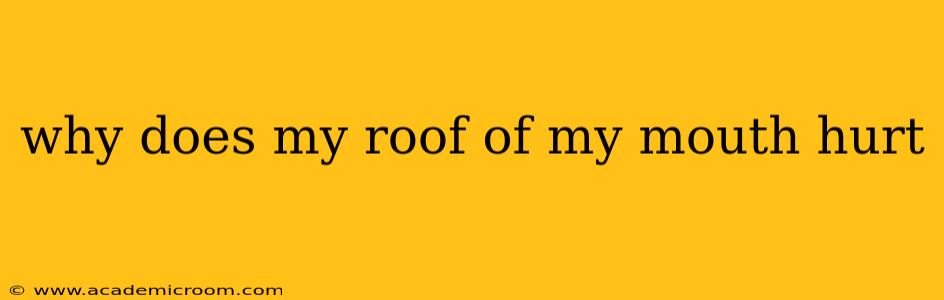 why does my roof of my mouth hurt