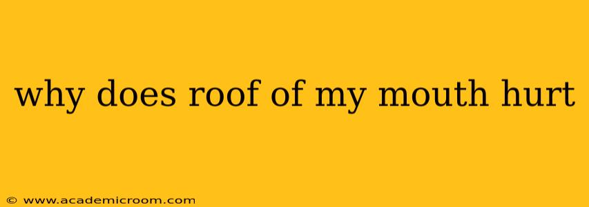 why does roof of my mouth hurt