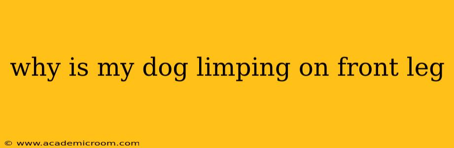 why is my dog limping on front leg