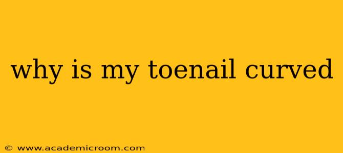 why is my toenail curved