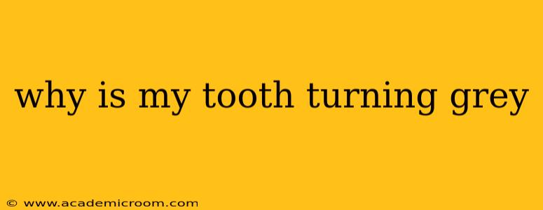 why is my tooth turning grey