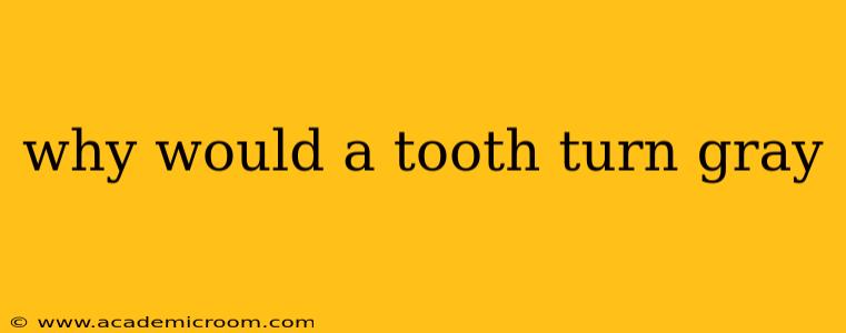 why would a tooth turn gray