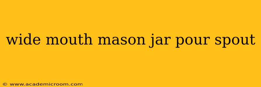wide mouth mason jar pour spout