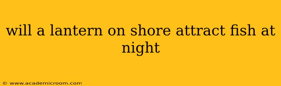will a lantern on shore attract fish at night