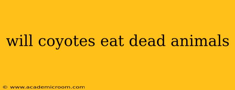 will coyotes eat dead animals