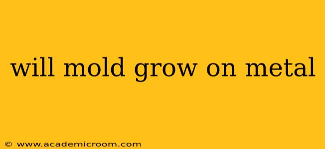 will mold grow on metal