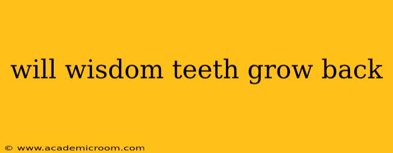 will wisdom teeth grow back