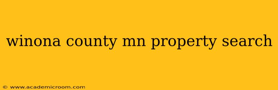 winona county mn property search