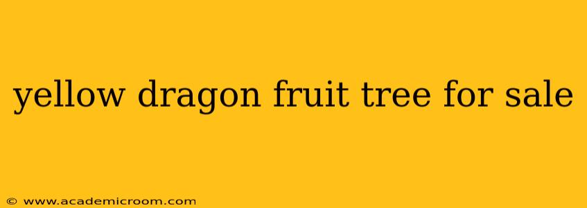 yellow dragon fruit tree for sale