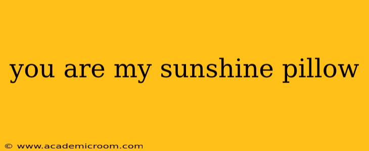 you are my sunshine pillow